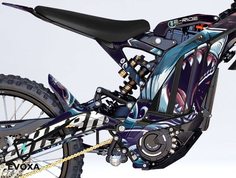 Shark — visuel